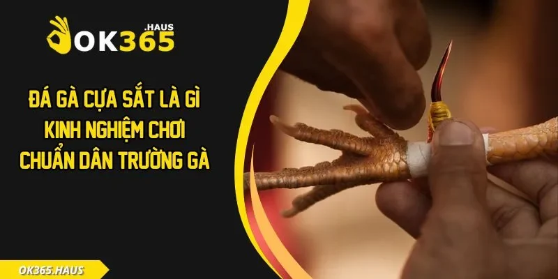 Đá gà cựa sắt